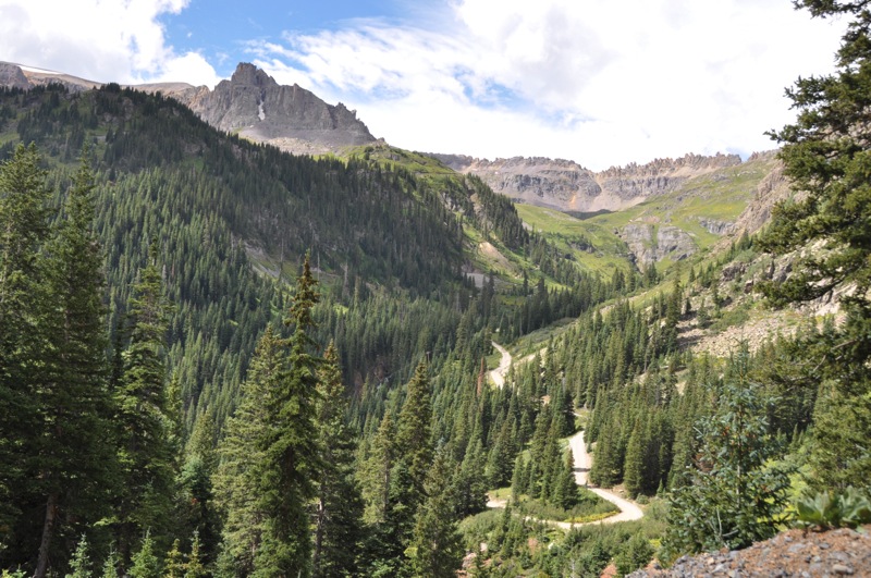 DSC_5594.JPG DSC 5594