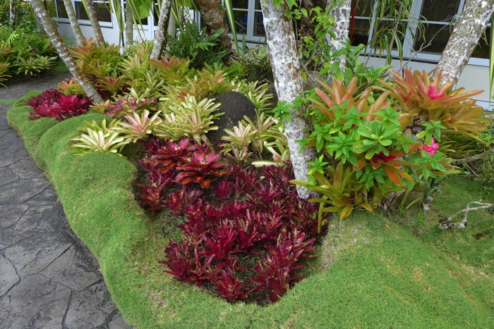 2014-09-10Tahiti-54.JPG 2014 09 10Tahiti 54