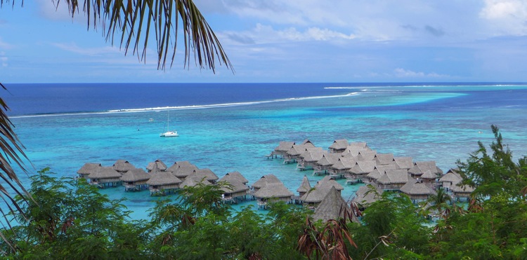 Moorea 16