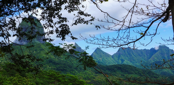 Moorea 3