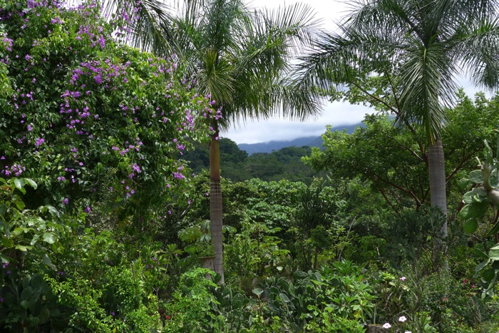 P1000444