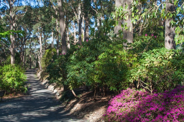 AdelaideArea 1