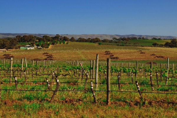 Fleurieu-1.jpg Fleurieu 1