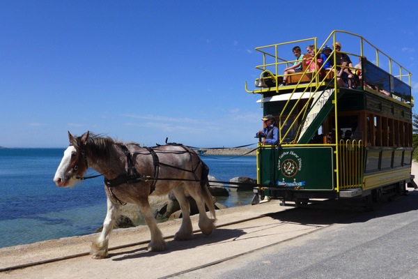 Fleurieu 10