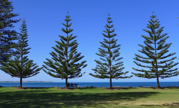 Fleurieu 12