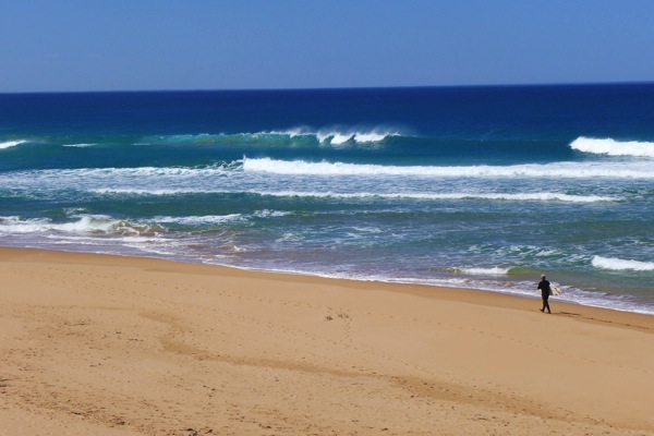 Fleurieu 5