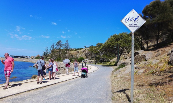 Fleurieu 9