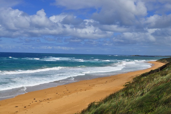 Loganbeach 1