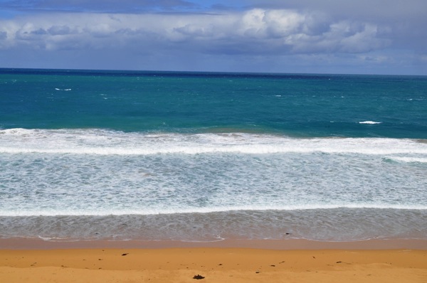 Loganbeach 2
