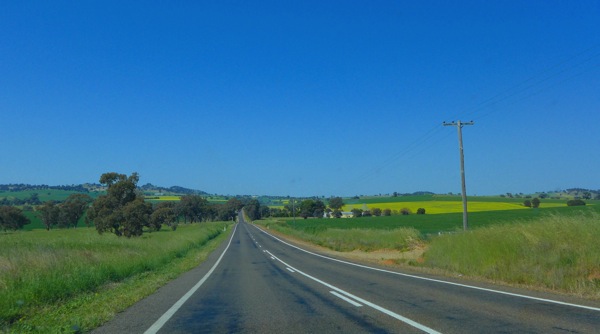 OrangeToAdelaide 1