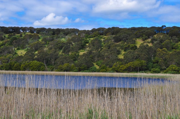 Towerpreserve 1