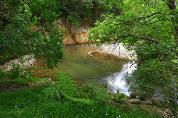 P1020437