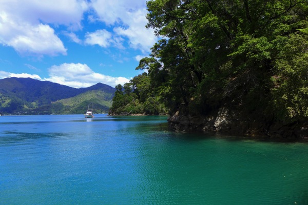 Picton-5.jpg Picton 5