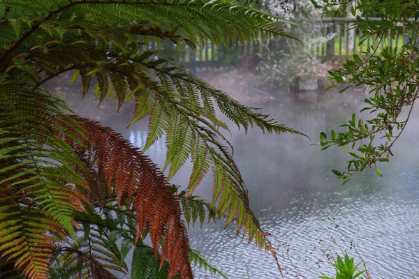 Rotorua Lumix 7