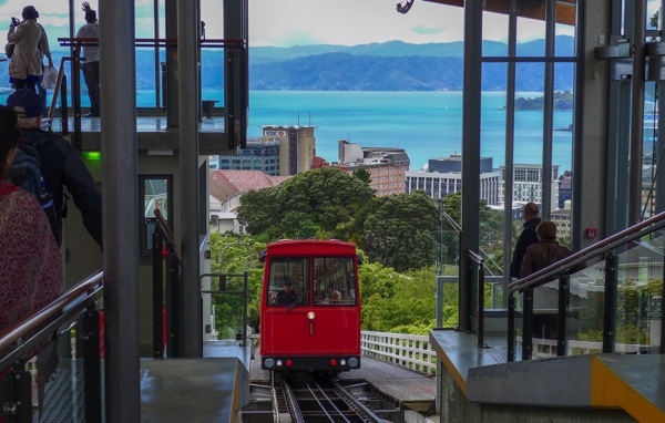 Wellington 4