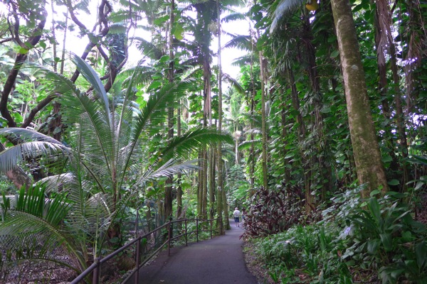HawaiiTropicalGarden 11