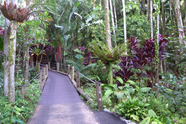 HawaiiTropicalGarden 16