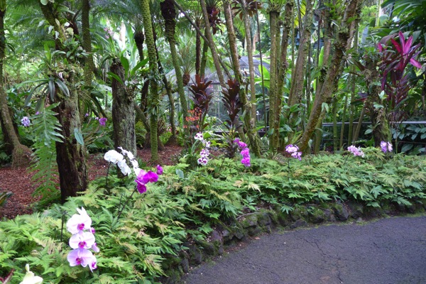 HawaiiTropicalGarden-3.jpg HawaiiTropicalGarden 3