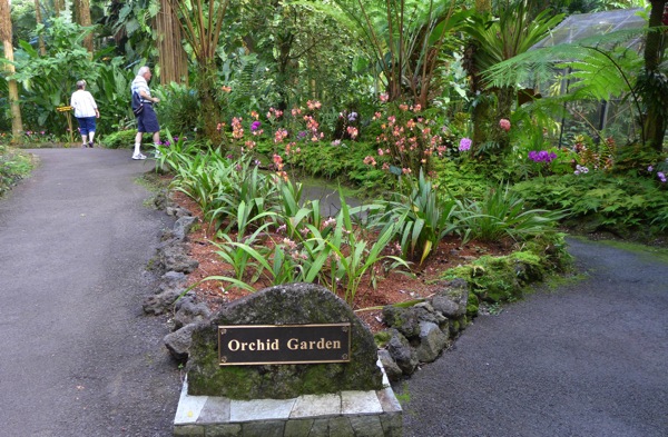 HawaiiTropicalGarden-5.jpg HawaiiTropicalGarden 5