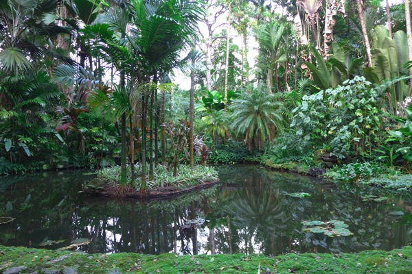 HawaiiTropicalGarden-6.jpg HawaiiTropicalGarden 6