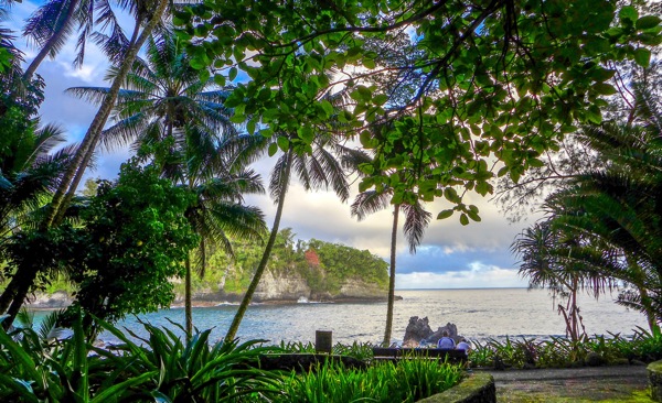 HawaiiTropicalGarden 8
