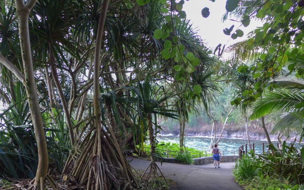 HawaiiTropicalGarden-9.jpg HawaiiTropicalGarden 9