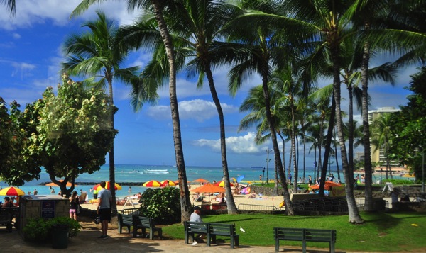 OahuTour 5