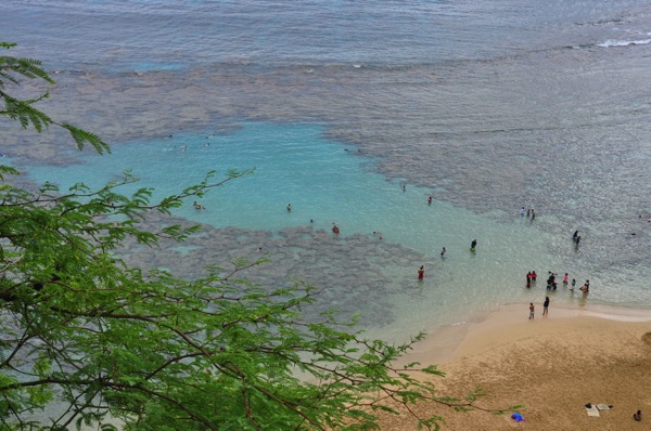 OahuTour 6