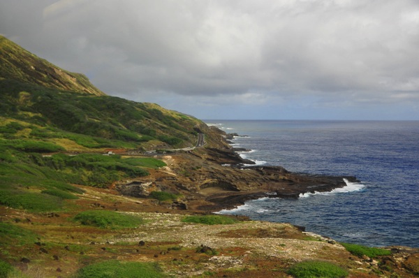 OahuTour 8