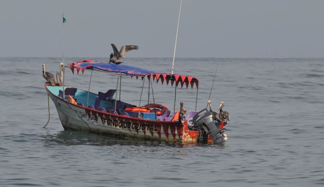 Mexican Whale Watching Boat
