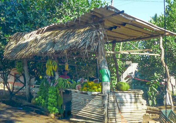 P1030331-2