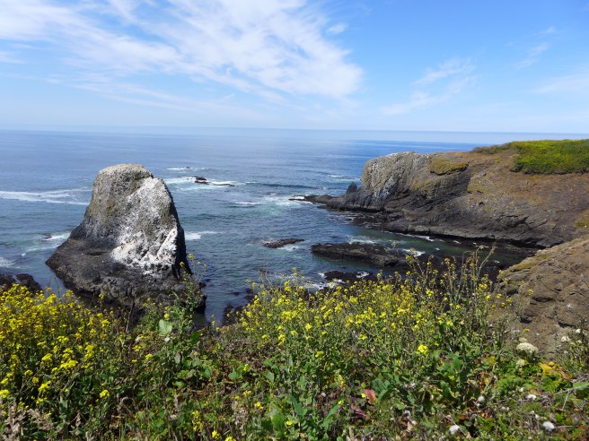Near Newport, Oregon