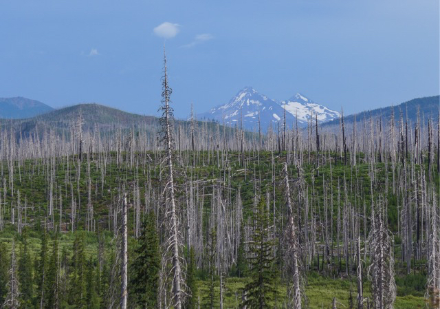 B&B Complex Fire burned 90,000 acres in 2003