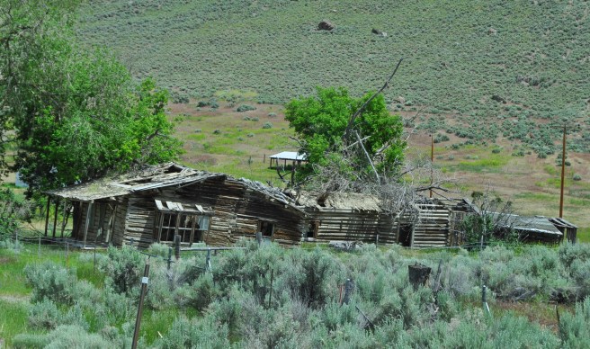 Idaho (4 of 6)