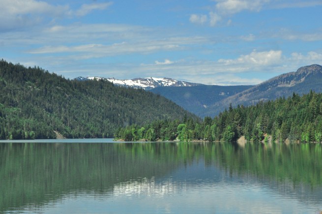 Cascades (1 of 1)