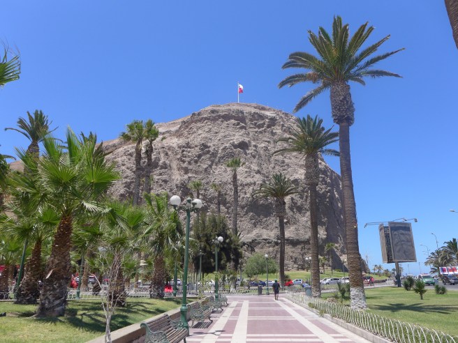 arica-47-of-13