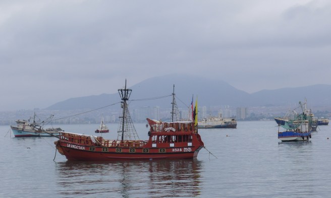 coquimbo-41-of-11
